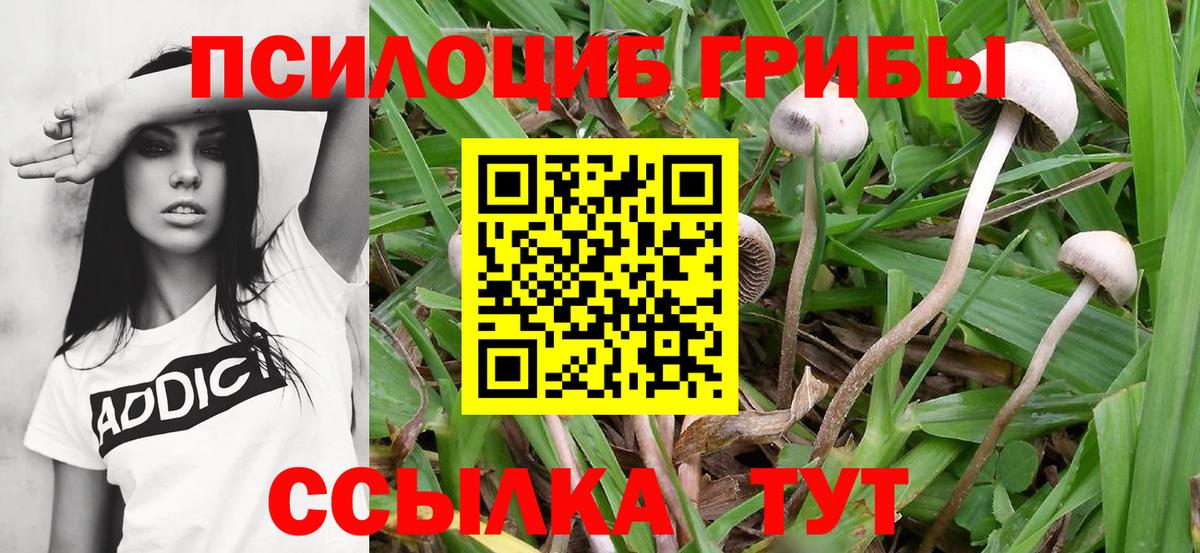 Псилоцибиновые грибы Magic Shrooms Петровск