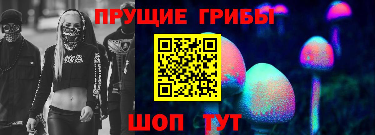 Псилоцибиновые грибы Cubensis  даркнет сайт  Петровск  Вход с VPN 